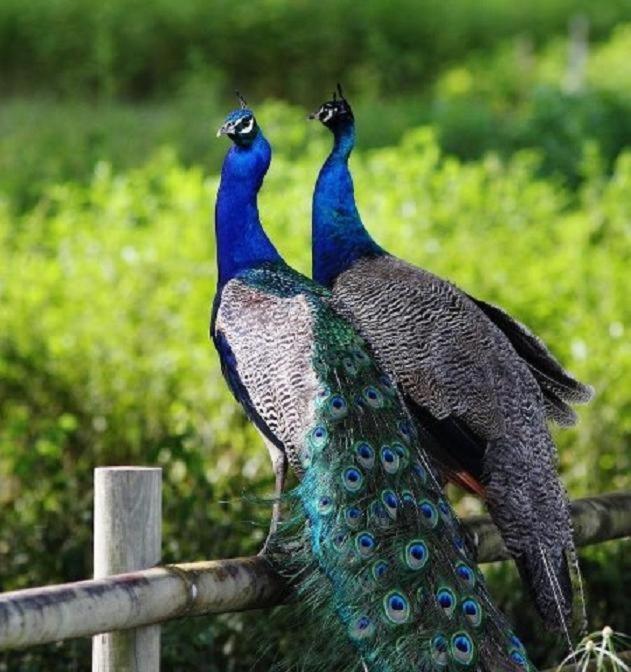 Culla Lodge Inhambane Eksteriør bilde